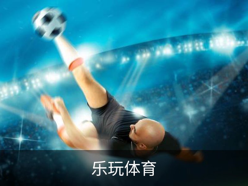 乐玩体育概况